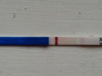 7dpo wet3.jpg