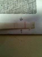 photo (4).jpg