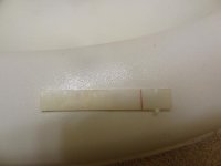 DSC00414.jpg