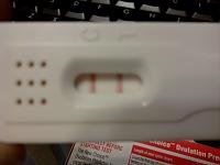 opk (nov 12).jpg