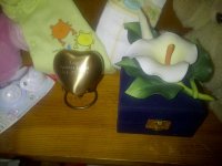 Fredericton-20111113-00252.jpg