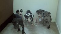 2011-11-11_09-44-28_337.jpg