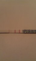 opk.jpg