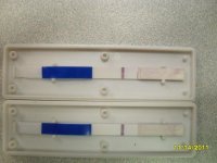 SDC13091.jpg