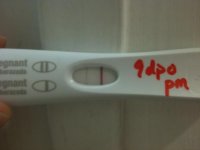 PIC9DPO-PM.jpg