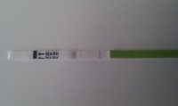 opk.jpg
