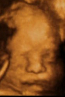 vlcsnap-2011-11-15-14h51m08s129.png
