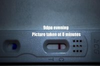 DSC_0019a.jpg