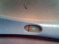 2011_11_16_10_30_27_625.jpg