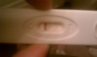 IMAG0388.jpg