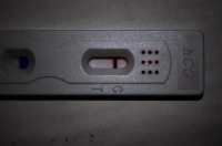DSC_0034a.jpg