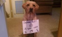 Bentley2bday.jpg