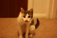 IMG_6519.jpg