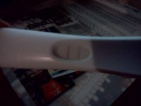 IMG_20111116_211836.jpg