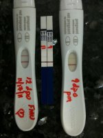 PIC-12DPO.jpg