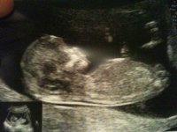 Baby O pic 2.jpg