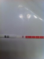 my pics 065.jpg