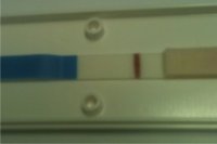 77777.jpg