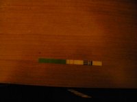 DSCN2536.jpg