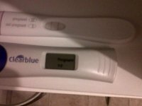 IMG00059-20111118-0651.jpg