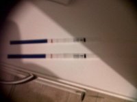 IMG00061-20111118-1652.jpg