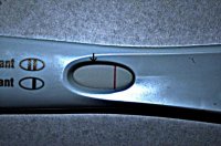 DSC_0146c.jpg