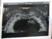 25102011027.jpg