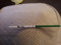 2011-11-19 16.37.46.jpg