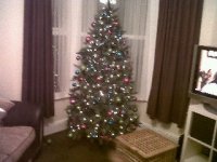 tree.jpg