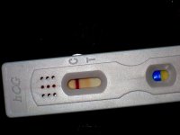 DPO10..jpg