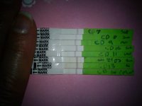 opk.jpg