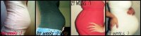 16-28weeks.jpg