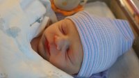 Alistair First few Days 056.jpg