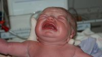 Alistair First few Days 017.jpg