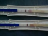 test.jpg
