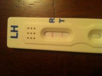 OPK.jpg