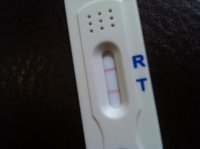 OPK 2.jpg