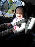 SAM_1093.jpg