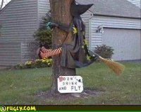 witch-crashed-into-a-tree.jpg