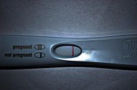 DSC_0238c.jpg