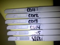 IMG-20111122-03359.jpg