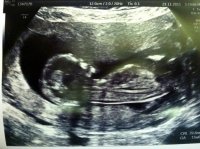 scan2.jpg