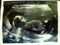 scan3.jpg