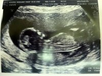 scan4.jpg