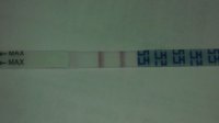 cd1710am2.jpg