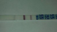 cd188am.jpg