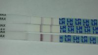all opk.jpg