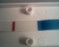 IMG_20111125_071612-1.jpg