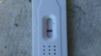 14dpo.jpg