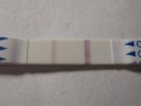 ov!!!! 010.jpg